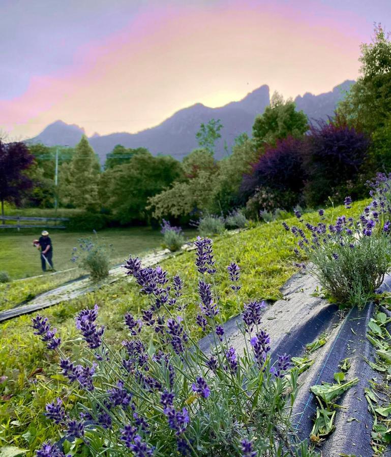 Apartamento Casa Del Piol Fattoria Dei Fiori Sospirolo Exterior foto